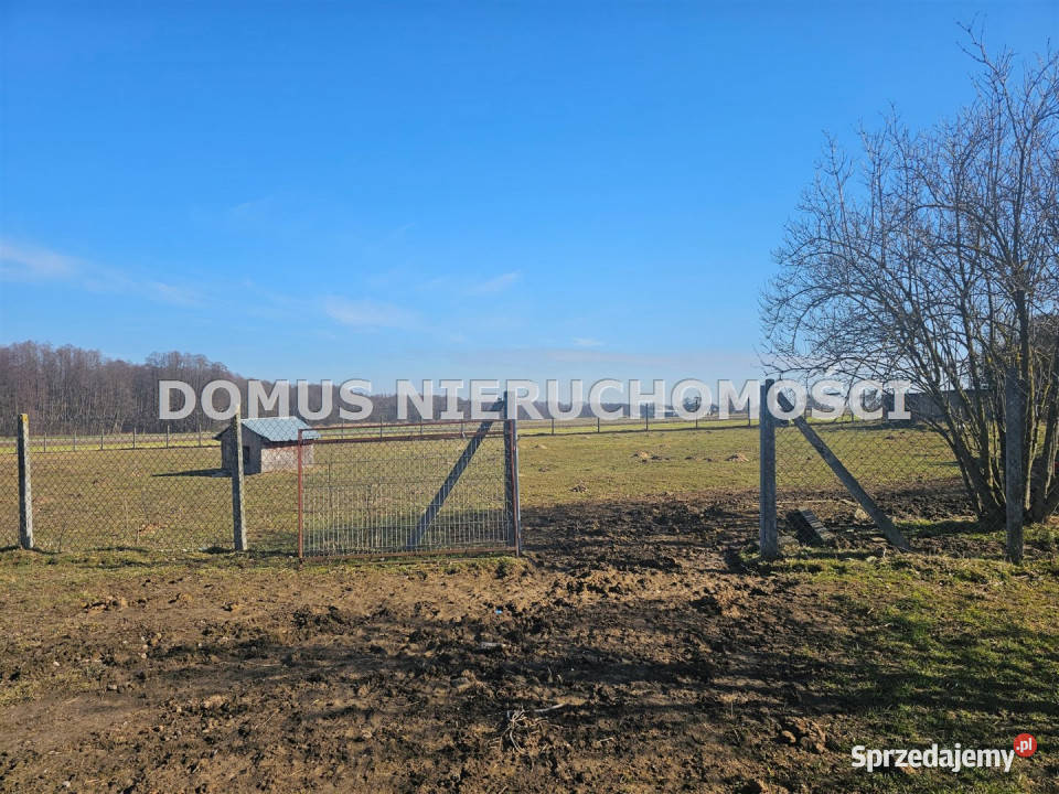 sprzedaży działki Lubiska 3416m2 łódzkie