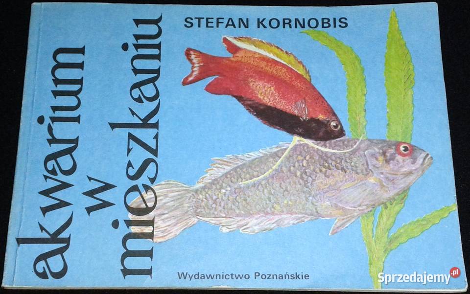Akwarium w mieszkaniu Stefan Kornobis Chełm