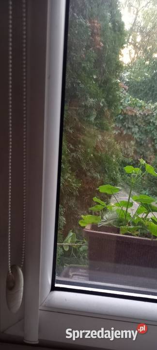 Roleta okienna kasetowa dzień noc 75 Małkinia Górna