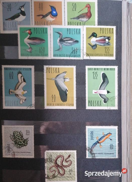 Album ze znaczkami nowymi i z pieczątkami lata