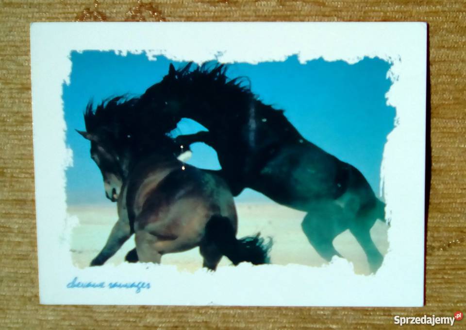 KOŃSKIE ZABAWY KOŃSKA MIŁOŚĆ lubelskie Piszczac