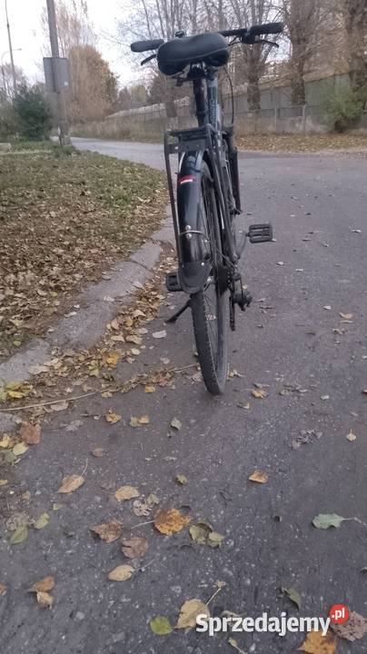 Rower damski trekkingowy GIANT Argento Koszyk Łódź