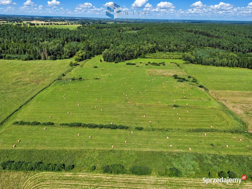 Działka Liwa 31400m2