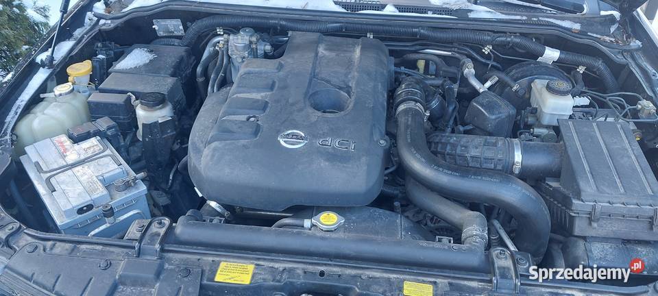 Nissan navara D40 25 4x4 2 Krasnystaw