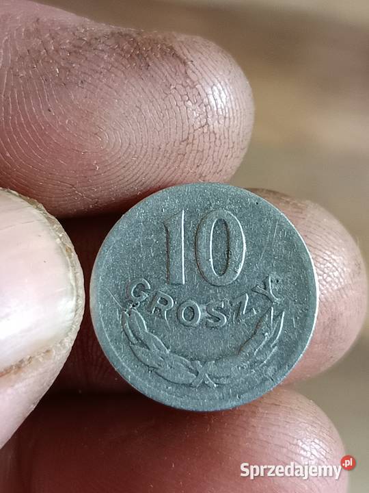 Sprzedam 10 groszy 1965 Chełm sprzedam