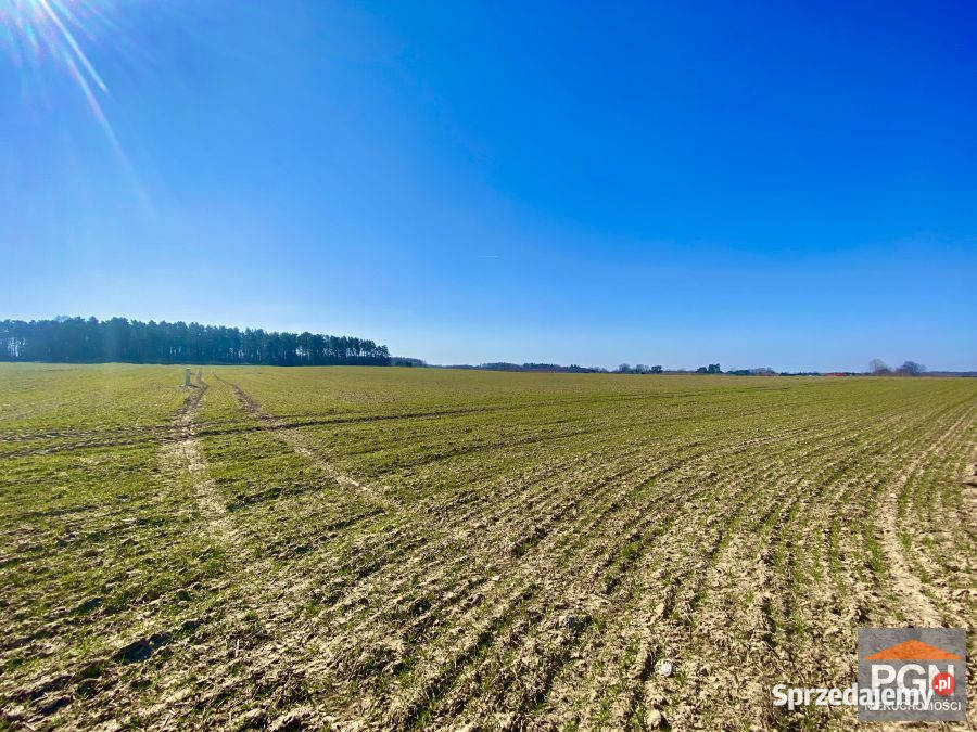 Działka Gryfice 3055m2 Sprzedaż zachodniopomorskie