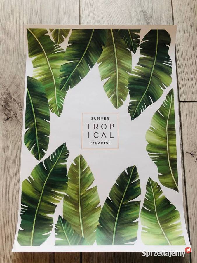 Plakat obraz liście zielony tropikalny natura 42 Łódź