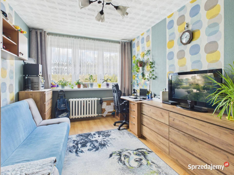 Sprzedam mieszkanie 50m2 2 pokoje Toruń Mjr Liczba pokoi 2
