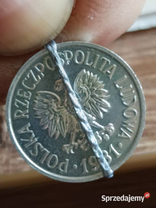 Sprzedam 20 gr 1981 r lekka skretka Chełm sprzedam