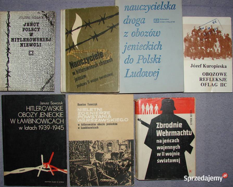 Wspomnienia, pamiętniki, relacje - okupacja niemiecka w Pols