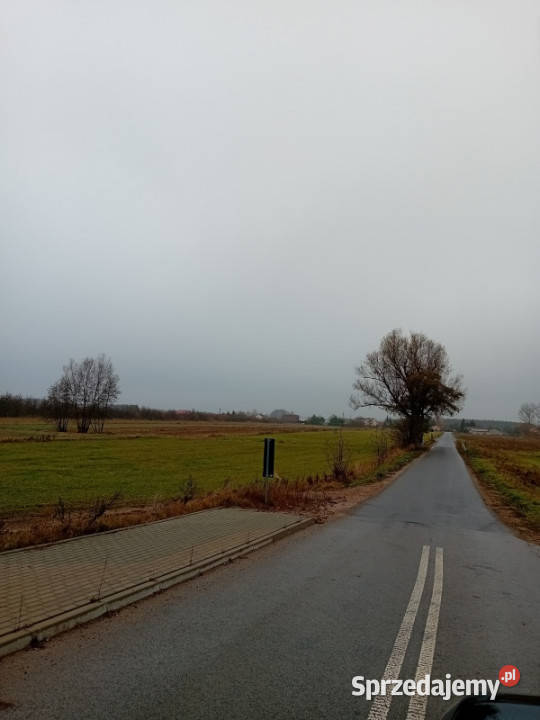 BednaryKolonia gm Nieborów Działka budowlana Bednary-Kolonia