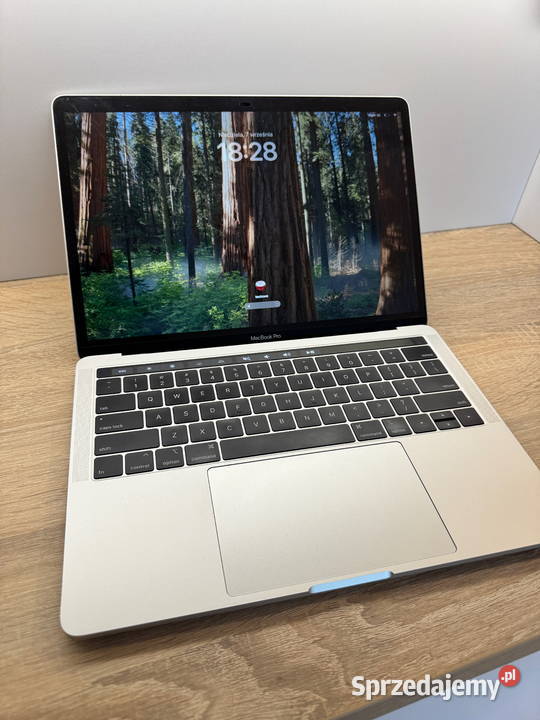 Apple MacBook Pro 13 2018 16GB256GBTouch 16GB Apple Kobyłka