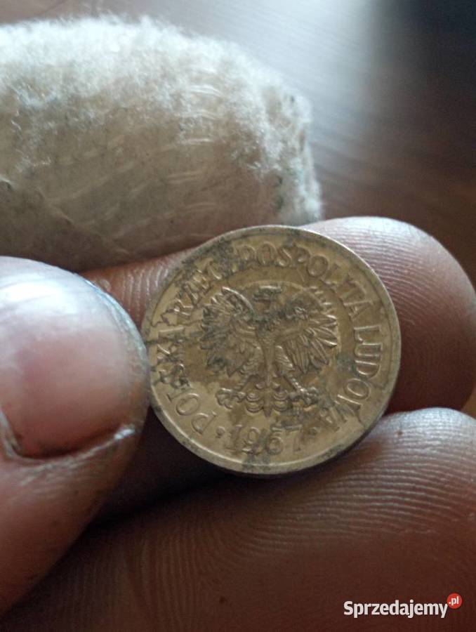 Sprzedam 10 gr 1967 r zzm Chełm