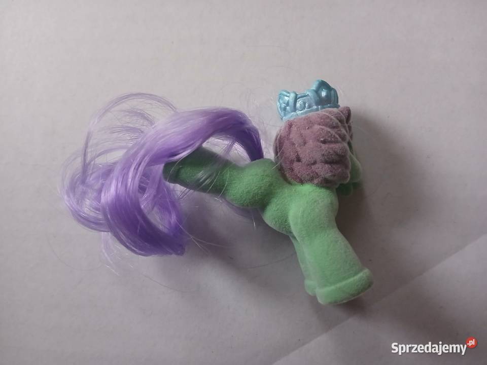 Kucyk Filly Royale Książe Glory Chrzanów sprzedam