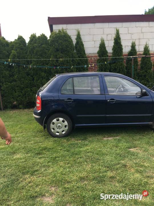 Skoda Fabia podkarpackie Rakszawa