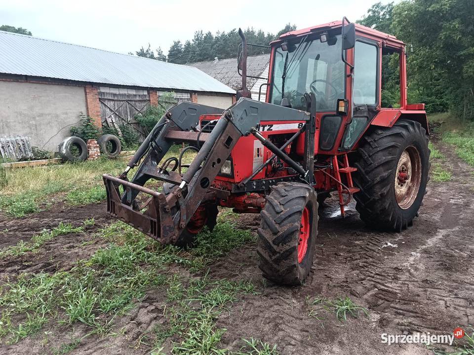 MTZ Belarus 82 MTZ mazowieckie Borówek