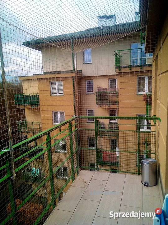 Siatka Ochronną Kota Na Balkon Montaż Siatek Radzymin