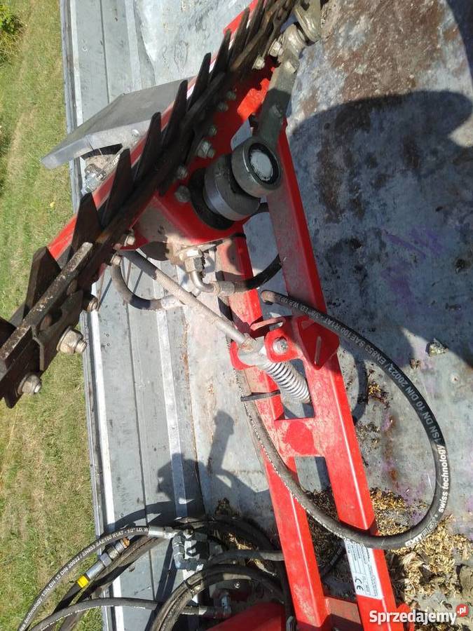 Podcinacz do porzeczek