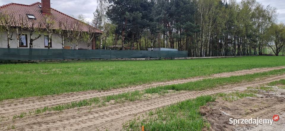 sprzedam działkę budowlaną Czarnożyły sprzedam