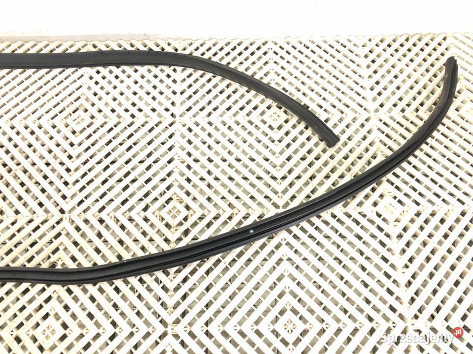 USZCZELKA DRZWI PRZÓD PRAWA HONDA ODYSSEY Van