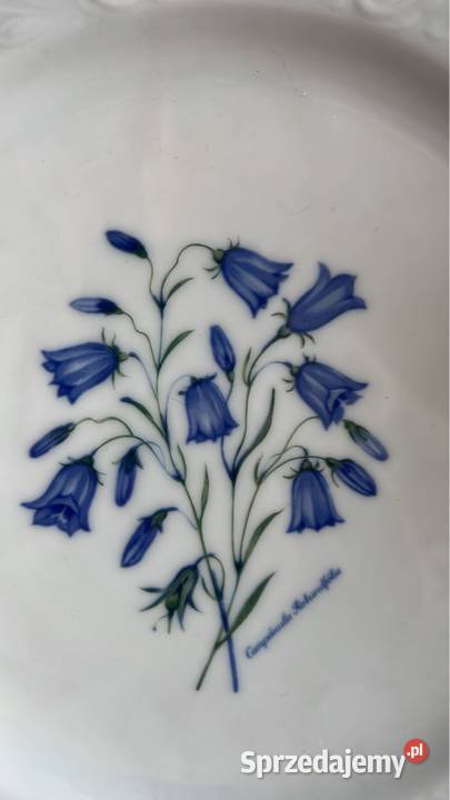Talerzyk deserowy Schumann Arzberg Echt Cobalt Porcelana i szkło Gdańsk