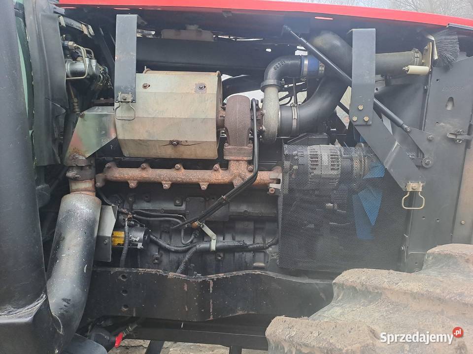 Massey Ferguson 6499 Massey Ferguson