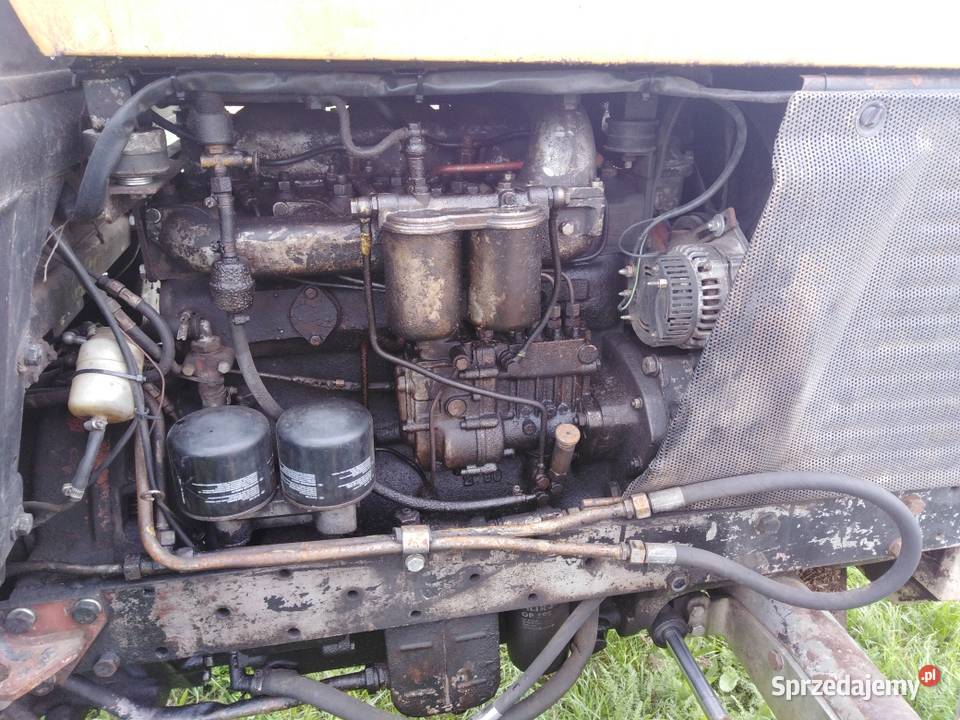 Sprzedam ciągnik rolniczy Ursus 1012 r 1984 Włoszakowice sprzedam