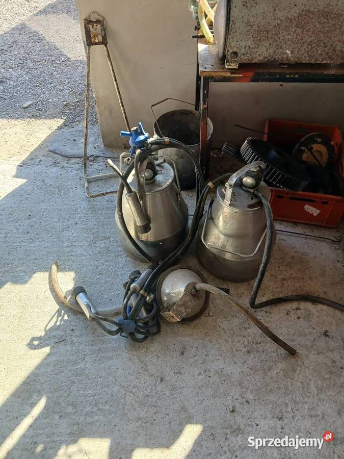 Dojarka Alfa Laval komolet Wojciechów-Kolonia Piąta sprzedam