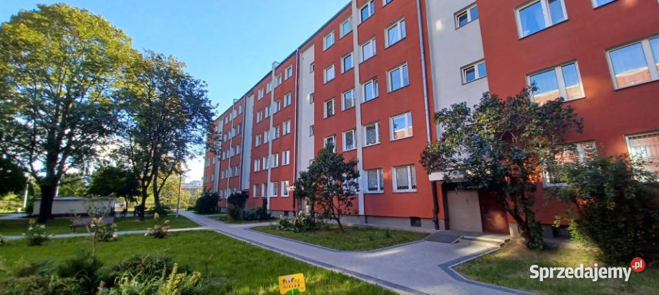 Stary ŻoliborzZajączka 39m2 dwupokojowe Wynajem mazowieckie Warszawa