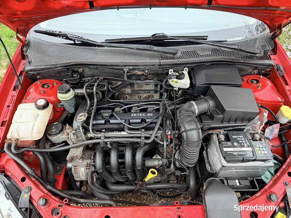 Ford focus mk1 14 16v 75 Pomidorek Częstochowa