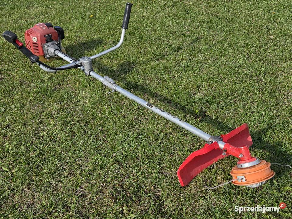 Kosa spalinowa Einhell GHBC 43 AS Jasienica