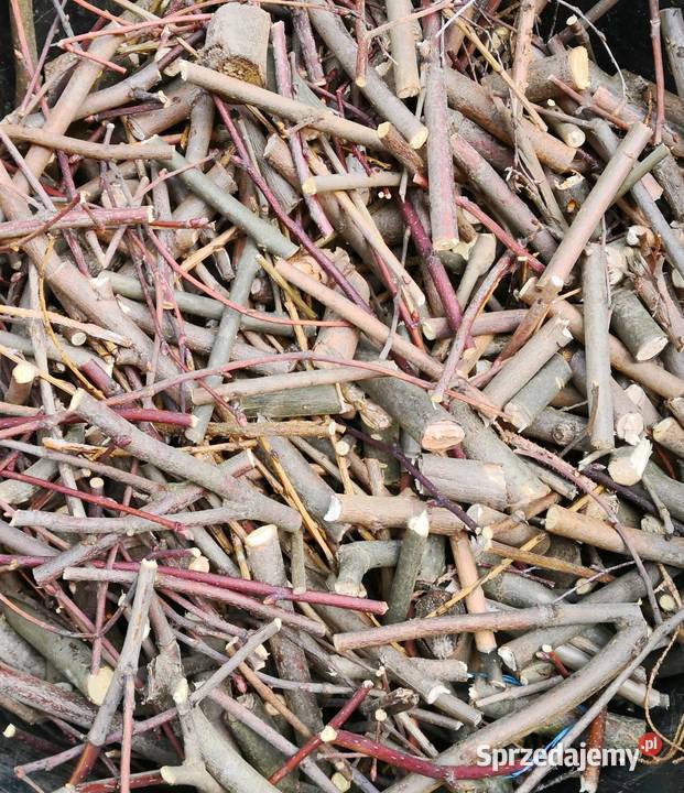 Zrębki zrębka rozpałka opał Opał Domaradz sprzedam