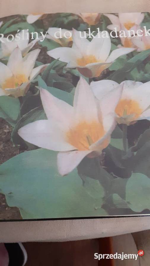 Układanki roślinne dom i ogród Szczecin