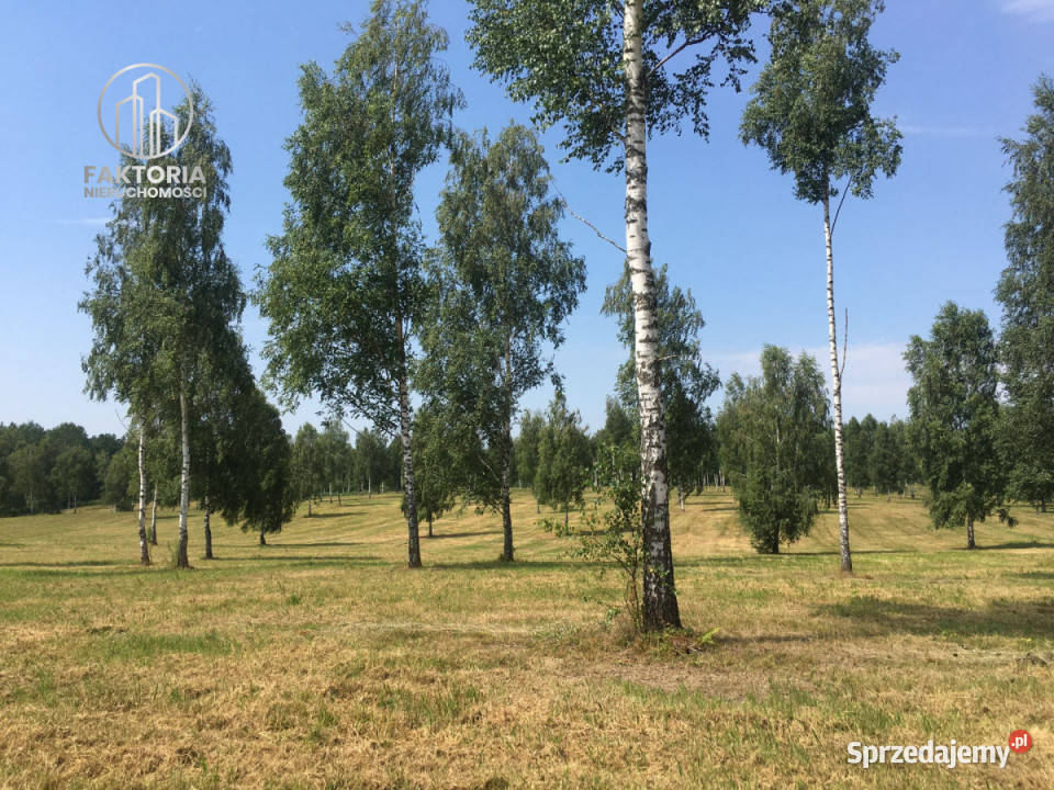 Grunt 1353m2 Ostróda