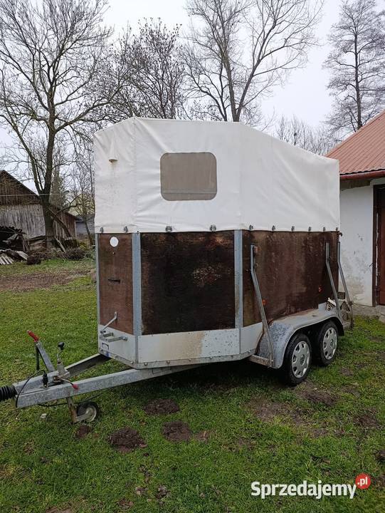 Przyczepa do przewozu koni zwierząt Suchy Grunt sprzedam
