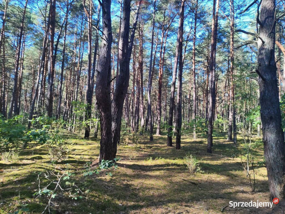 Na sprzedaż Działka Osiedle Wilga