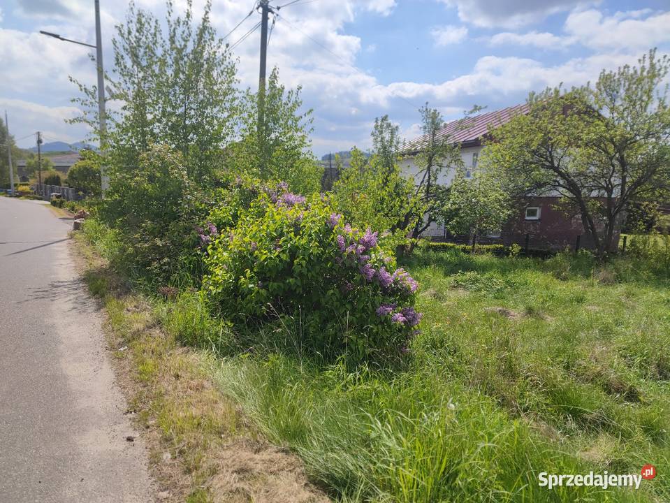 Działka 12 arów powiat wałbrzyski Stare Bogaczowice