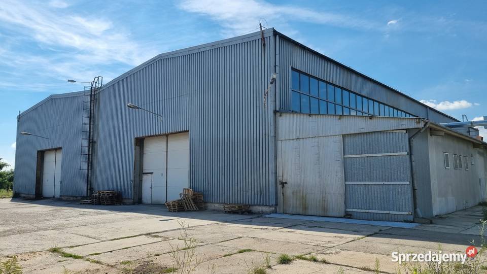 Najem nieruchomości z Halami produkcyjno