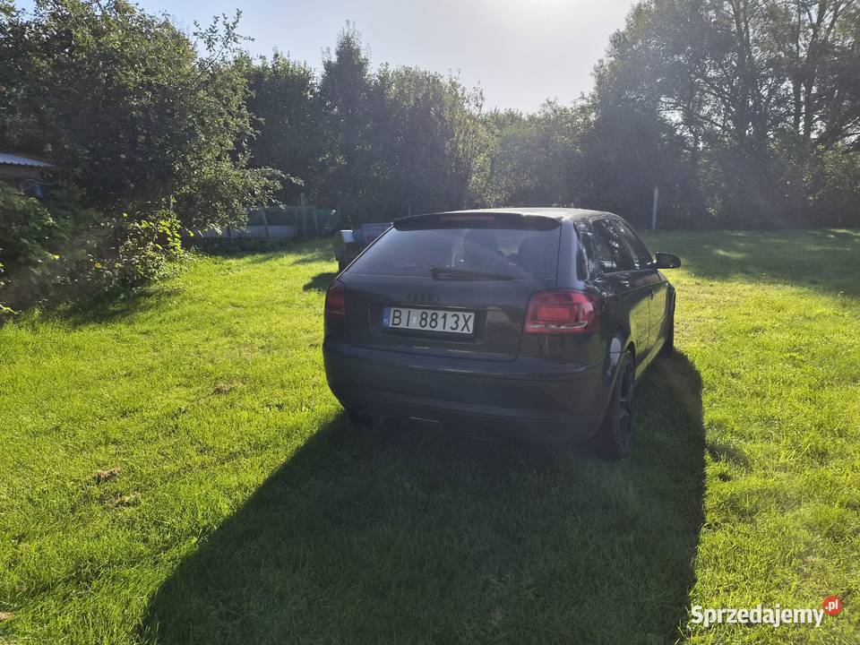 Audi A3 8P 20 TDI