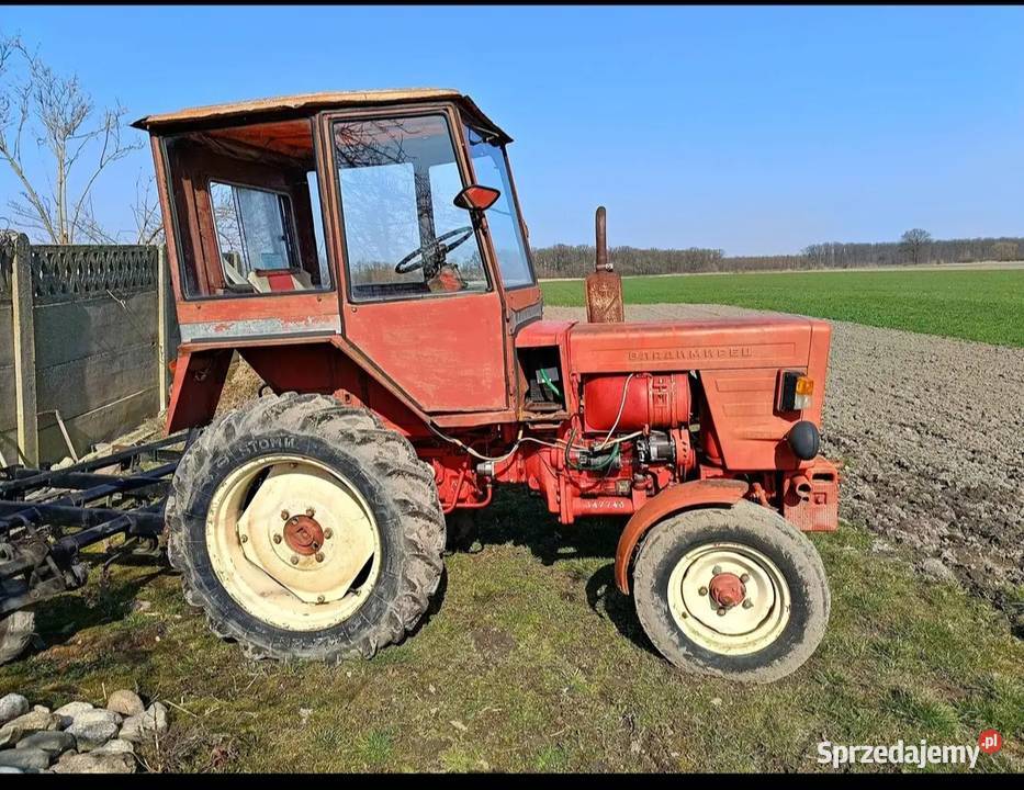 Władimiriec t25 Władimirec Domaradzice