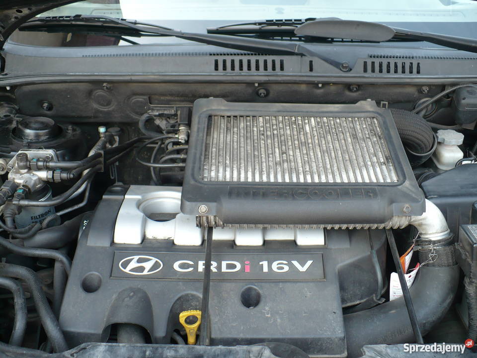 Hyundai Santa Fe 2005 20 Crdi 125AUT Mega Stan SUV Santa Fe Strzelin sprzedam