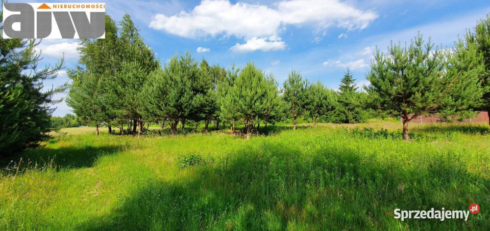 Grunt Wiktorów 1600m2 Sprzedaż