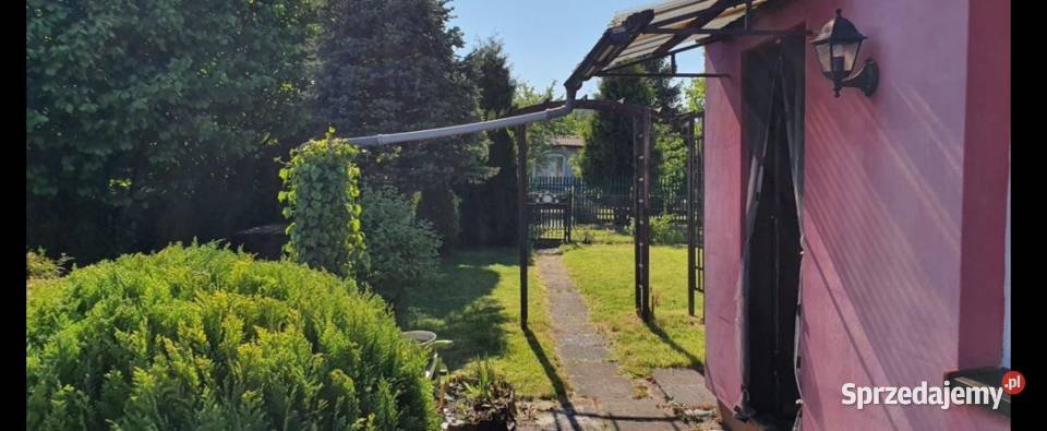 Działka ROD SUCHARSKIEGO Wejherowo 429m2 DOMEK 186zł/m2 Sprzedaż