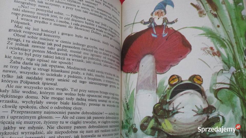 O krasnoludkach i o sierotce Marysi MKonopnicka łódzkie Łódź