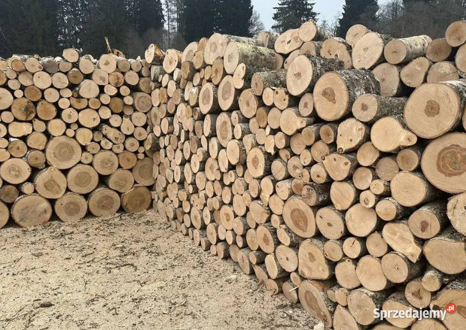 i tanie drewnos Radłów