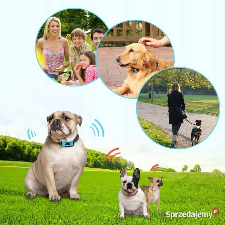 Obroża przeciw szczekaniu Zamość