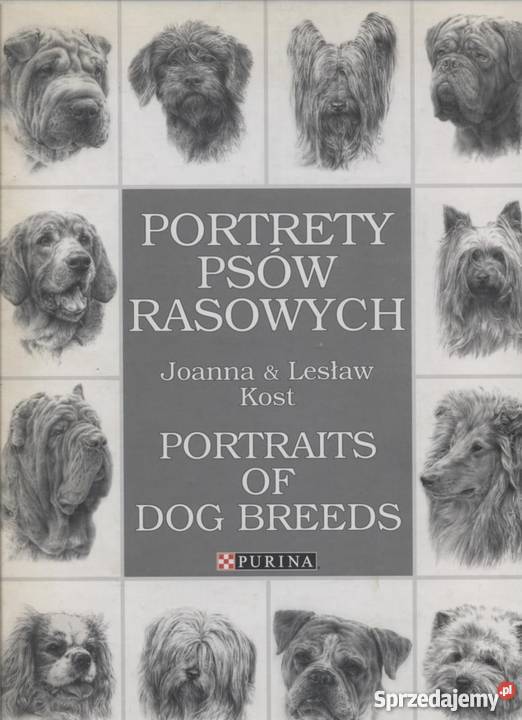 Portrety psów rasowych Szczecin sprzedam
