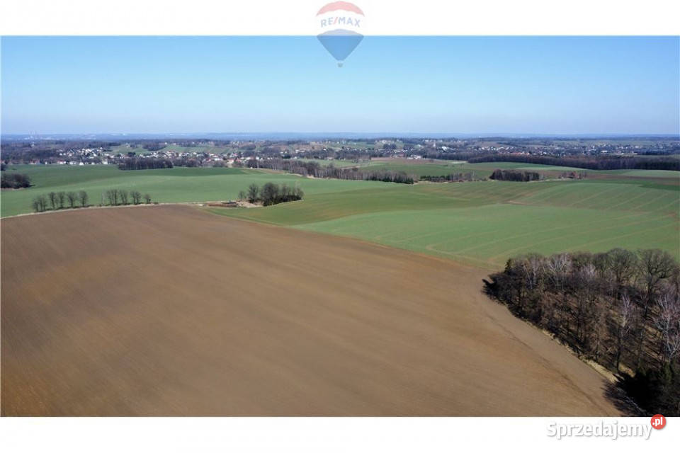 Działka usługowa Osiek kKęt asfalt Grunty i działki