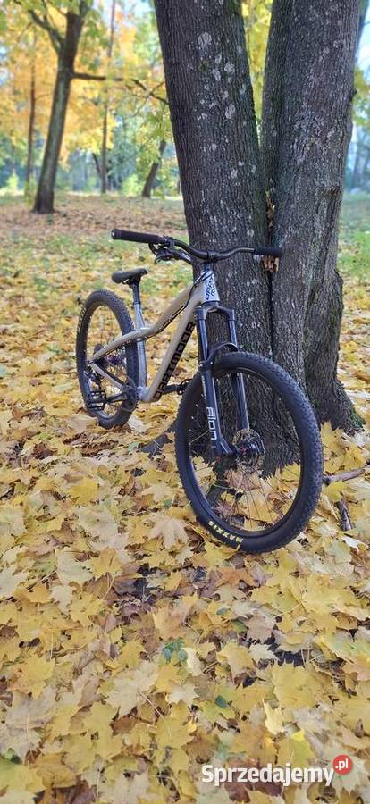 Dartmoot hornet pro Białystok