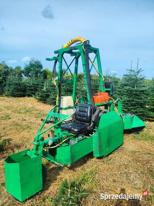 Jutek maszyna do choinek jodła kaukaska śląskie Racibórz